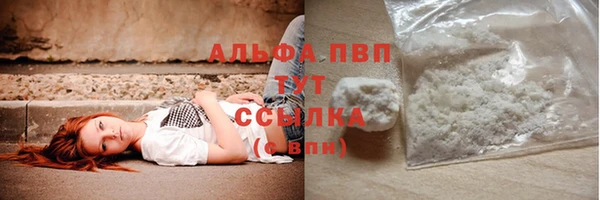 прущие грибы Алзамай
