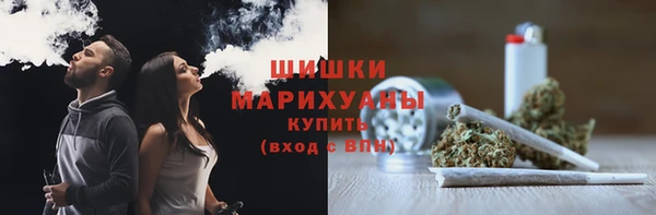 прущие грибы Алзамай
