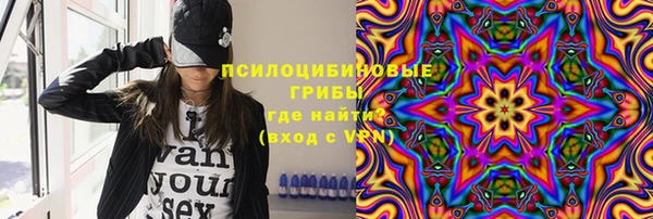 прущие грибы Алзамай