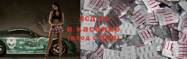 прущие грибы Алзамай