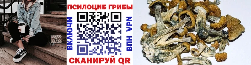 Псилоцибиновые грибы Magic Shrooms  Ардатов 